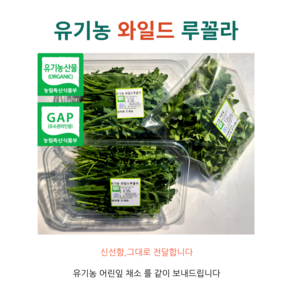 [농장직송] 유기농 와일드 루꼴라 샐러드 채소 산지직송, 100g, 3개