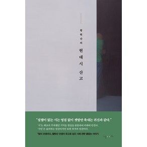 황현산의 현대시 산고:황현산 유고 평론집