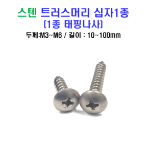 스텐 트러스머리 십자 1종 태핑나사 볼트 너트 평와셔 스프링와셔 sus 304, M6, 20mm, 1개