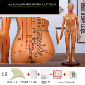 침술 모형 인체 한의학 경혈 경락 혈자리 전신 실습 교육 모델, 여성 하드모드 (손 회전 가능) 52cm