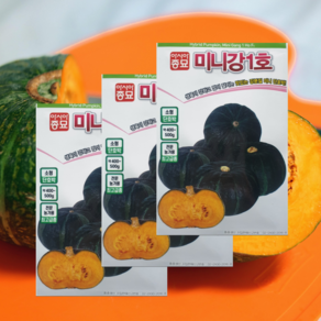 단호박씨앗 미니강1호 10립 3개 맛있는 미니 단호박