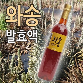 와송효소 발효액 750ml /노지재배와송 3년숙성, 1개