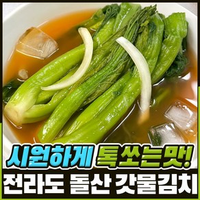 푸드지 여수 돌산 갓물김치, 1개, 1kg