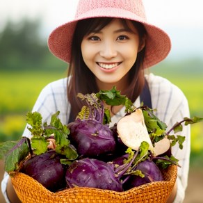 고당도 제주 제주산 콜라비 적콜라비 특상품, 1박스, 5kg