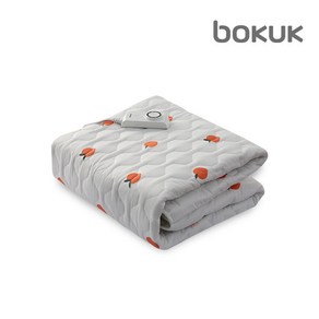 보국전자 에어셀 잠이 참 달고나 워셔블 전기요 BKB-0605S, 혼합색상, S(100 x 180 cm)