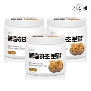 동충하초분말 동충화초 국내산 밀리타리스 동충하초 가루 차 코디세핀 3통, 600g, 1개