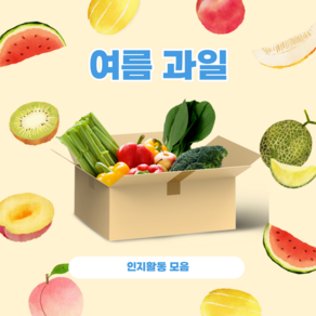 53 만자디자인 인지활동 / 여름 과일, 1개