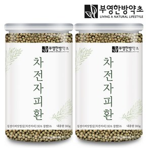 부영한방약초 차전자피환 300g