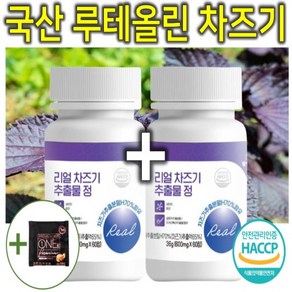 프리미엄 고농축 국내산 차즈기 차조기 차지기 차주기 차자기 붉은깻잎 보라색깻잎 루테올린 루테인 자소엽 자엽소 잎 차 티 캡슐 환 정 분말 가루 파우더 추출물 효능 효과 추천 1+1, 60정, 2개