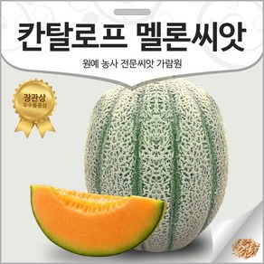 칸탈로프 멜론 씨앗 멜론씨 메론 씨 종자 참외 10알, 1개