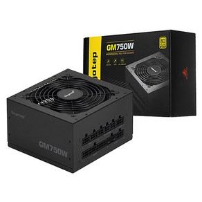 세고텝 GM750W 풀모듈러 ATX 3.1 PCIE5.1 블랙 GM750W BK