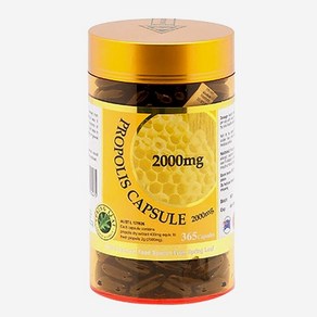 스프링리프 호주산 프로폴리스 2000mg 365캡슐, 1개, 365정