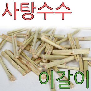 사탕수수 스틱 이갈이 20g 50g 100g 300g 1kg 햄스터 토끼 기니피그 앵무새 간식 먹이