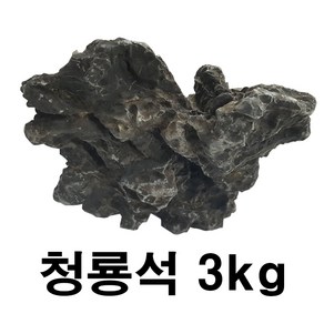 청룡석 3kg 수족관 어항 수조 장식 수석 어항 돌, 1개