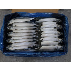 자반고등어 업소용 노르웨이 특대, 20개, 자반고등어 350g