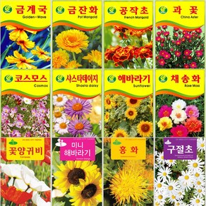 꽃씨앗 소포장 모음 코스모스 해바라기 백일홍 봉선화, 28.왜성해바라기 50립, 1개