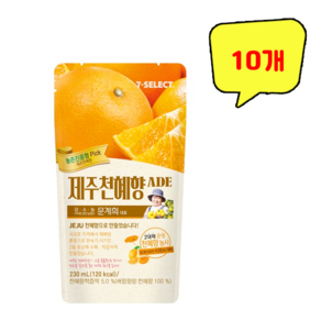 제주 천혜향 에이드 파우치 음료 230ml x 10개