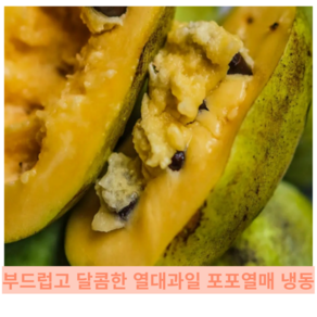 [국내산] 부드럽고 달콤한 산지직송 이색과일 바나나 망고 열대과일 숙성 냉동 포포열매, 1개, 1kg일반(4~6과)