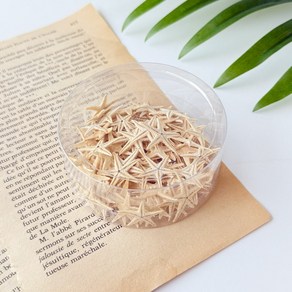 [한소픈] 미니 조개껍질 100g 소라껍데기 여름소품 인테리어 불가사리 소라 장식 조개모형, 16번 한 통