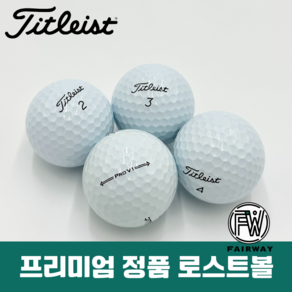 [로스트볼일번지]타이틀리스트 PRO V1 V1X 로스트볼 A A+급 혼합 패키지, 화이트(A+등급), 1개입, 20개