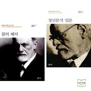 꿈의 해석 + 정신 분석 입문 (전2권) / 돋을새김