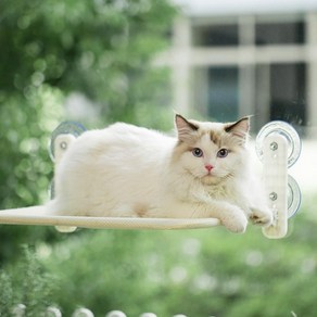 이지유 고양이 흡착 창문 해먹 폴딩 윈도우 침대 다묘 캣워커, 1개, 베이지 메쉬