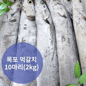 목포 갈치 생물 먹갈치 실속형(6~8마리 손질전 2kg)