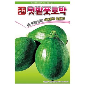 텃밭풋호박씨 종자 30립 호박씨앗, 텃밭풋호박 30립, 1개