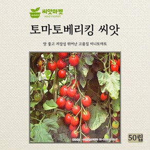 아시아종묘 토마토베리킹 씨앗 50립, 1개