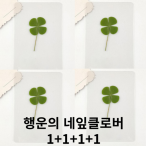 코팅 행운의 네잎클로버 1+1+1+1