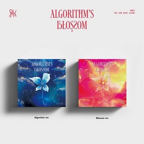 큐더블유이알 QWER - 미니 2집 Algorithm's Blossom 내 이름 맑음 2종세트