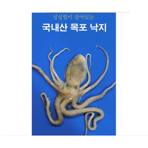 [산지직송] 최상급 목포 낙지 한입거리 세발낙지 신안 무안 산낙지 [산소팩 포장], 1개, 100g 내외