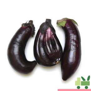 사라상회 가지 5Kg (보통), 1개