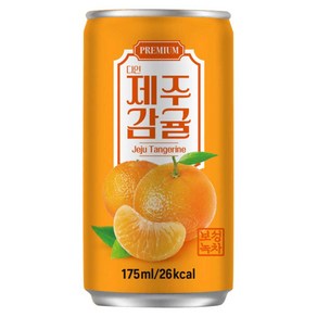 다인 서편제 제주감귤 175ml