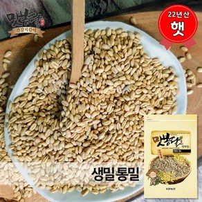 맛봉달 2023년 밀 생밀 소맥 통밀 미국산