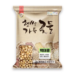 햇쌀푸드 수입 대두 메주콩 백태 콩 500g 두부콩 수입산, 1개