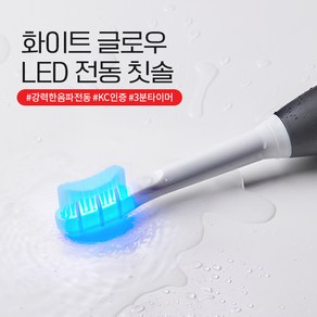 덴티럽 LED 전동칫솔, 1개