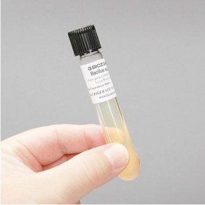 고초균 10ml bacillus subtilis