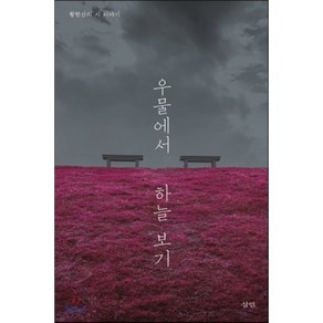 우물에서 하늘 보기:황현산의 시 이야기