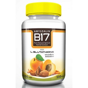 B17 살구추출물 Real Amygdalin 550mg APRICOT KERNEL EXTRACT 100 Capsules, 1개