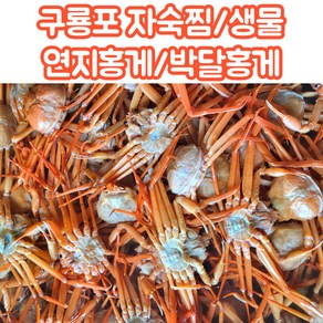 산지직송 당일조업 구룡포 연지홍게 박달홍게 자숙 생물 2kg 3kg 5kg, 1개