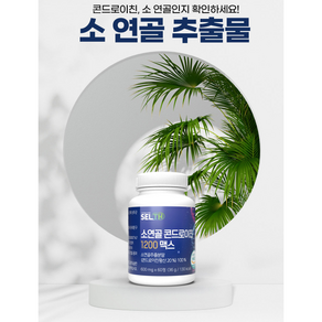 오리진 슈퍼푸드 프리미엄 소연골 콘드로이친 1200 맥스 600mg x 60정 2박스