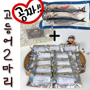 [해담]제주 은갈치(220g 5마리) 총20토막 대갈치 선물세트