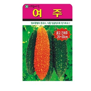 SN월드 씨앗 열매채소 과일채소 모음, 1개