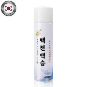 초강력 스프레이 체인 스노우체인 500mL, 1개