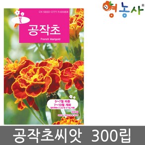 공작초 중포장 씨앗 300립 공작초씨 공작초 꽃씨앗 꽃씨, 공작초중포장, 1개