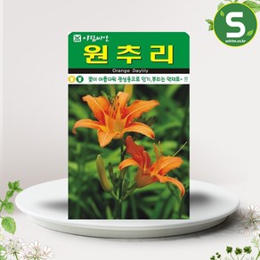 솔림텃밭몰 원추리씨앗 30립 원추리 꽃씨앗 꽃씨 야생화, 1개