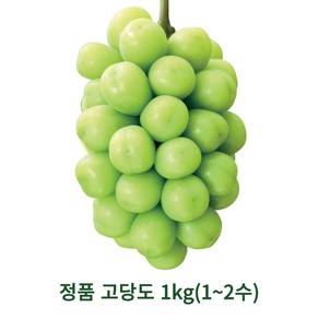 샤인머스캣 프리미엄 고당도 망고포도 수출용 가정용 2kg 4kg, 1개, 정품 고당도 1kg(1~2수)