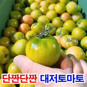 플라이팜 프리미엄 가정용 짭짤한 부산 대저 토마토, 1박스, 2.5kg