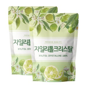 닥터릴리 자일리톨 크리스탈 분말 가루, 2개, 500g